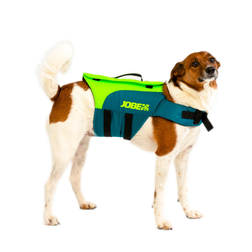 Chaleco para Perro Jobe Lima